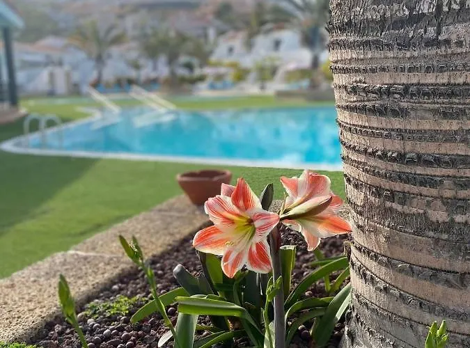 Διαμέρισμα Malibu Sun & Relax
